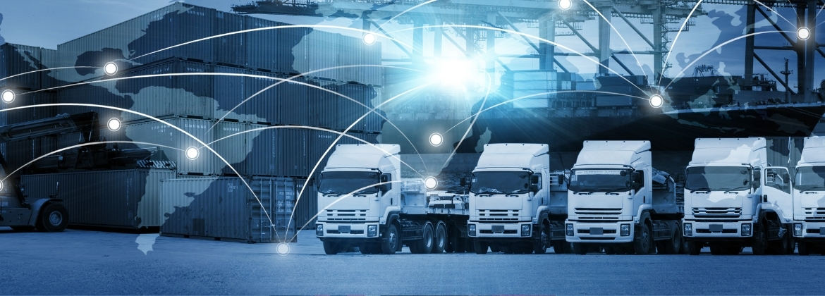 Dew Gümrükleme Hakkında